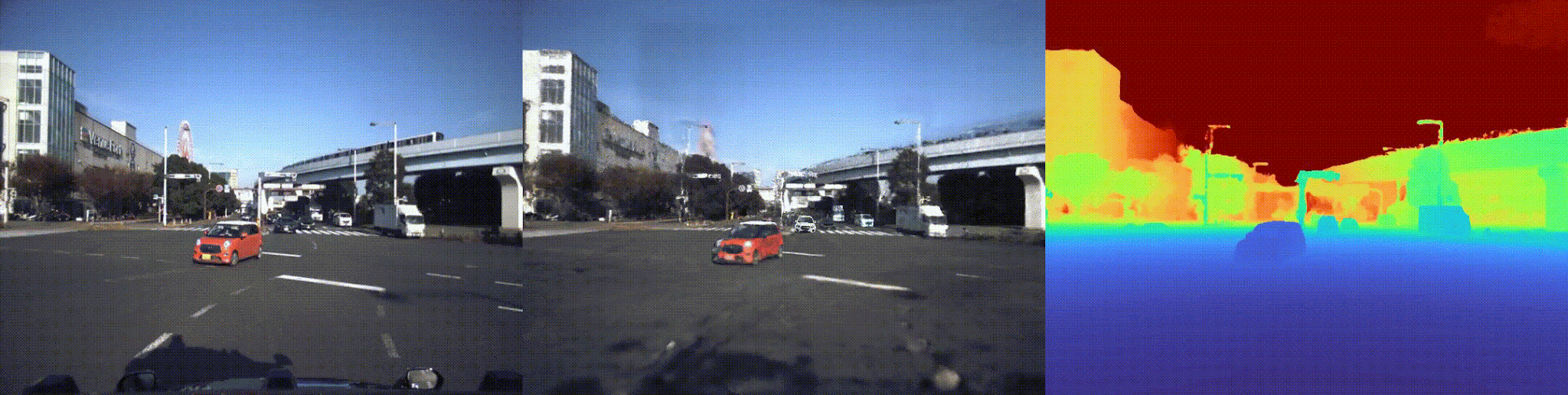 Image 12 動物体DB
